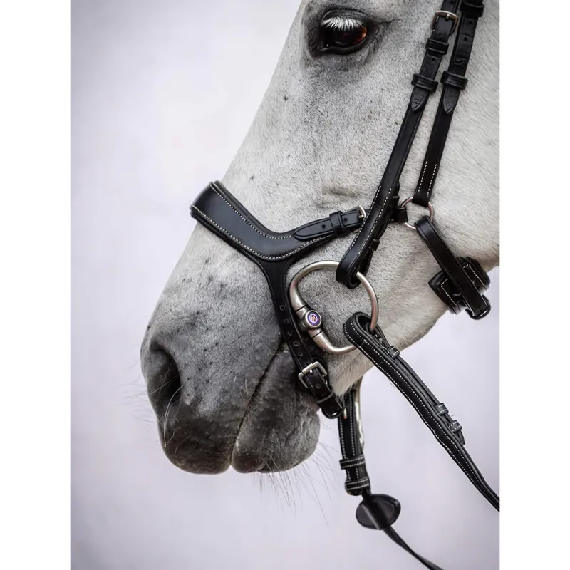 PS Of Sweden Pioneer Bridle - Black-2